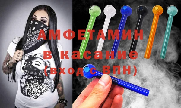 индика Алексин