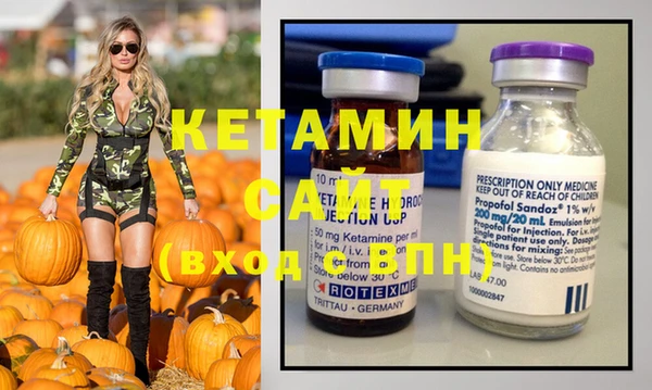 индика Алексин