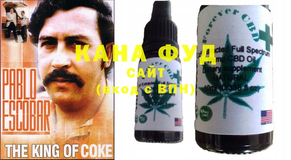 индика Алексин