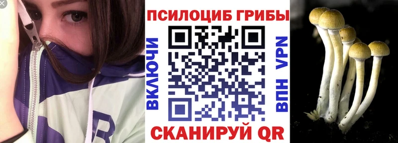 наркотики  Тамбов  Псилоцибиновые грибы мухоморы 